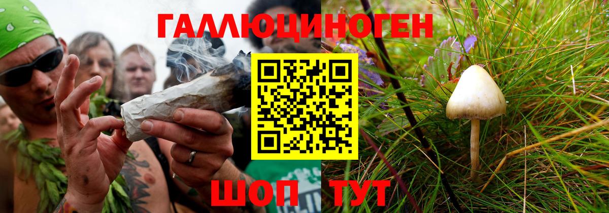 Псилоцибиновые грибы прущие грибы Ржев